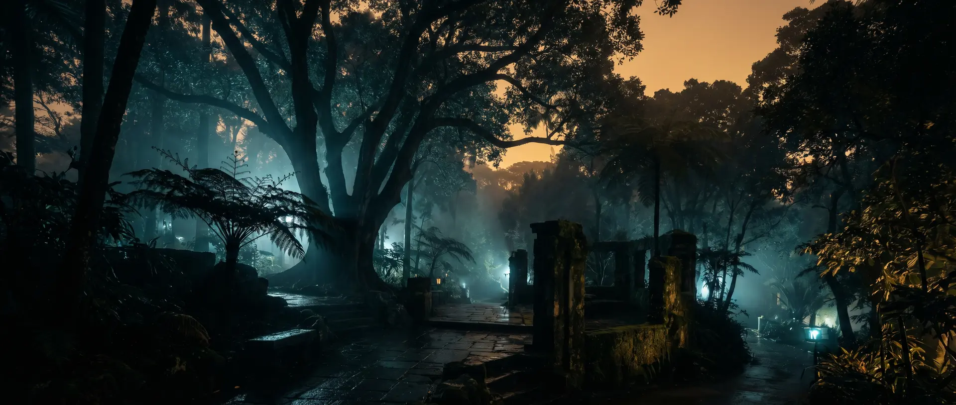 大象传媒珍稀兰花视频教程